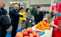 2027年意大利里米尼果蔬展览会展位预约流程详解,从申请到确认