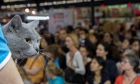 2027年法国巴黎宠物用品展览会(EXPOZOO Paris Animal Show)展示范畴