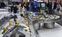 新加坡海鲜渔业展-亚洲海鲜渔业展(Seafood Expo Asia)2027年展位预定流程，企业参展必备步骤+避坑要点