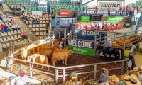 2027年澳洲澳大利亚昆士兰州牛肉产业及肉类加工展览会(Beef Australia)展位预定注意事项与风险防范