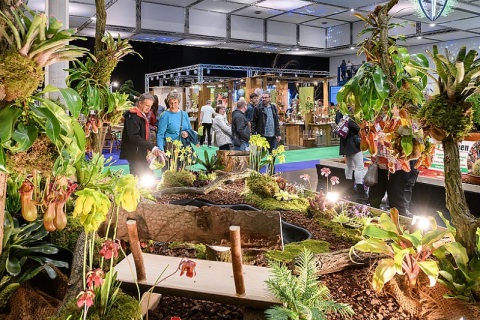德国德累斯顿花卉园艺展览会展会现场图片