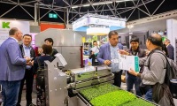 2027年荷兰阿姆斯特丹花卉园艺展览会全攻略