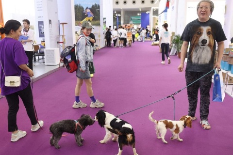 深圳特殊渠道宠物用品展展会现场图片