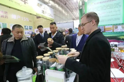 哈尔滨种业博览会展会现场图片