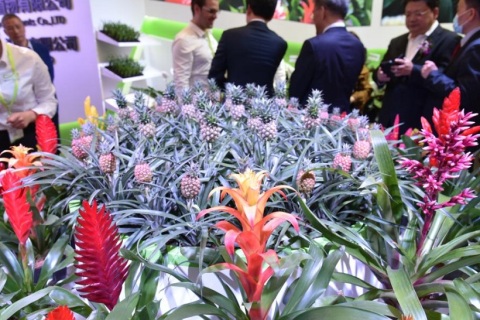 中国（北京）国际花卉园艺展览会展会现场图片