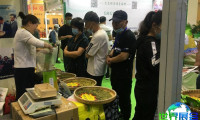 2026沈阳茶博会参展指南(时间地点/观众预约)