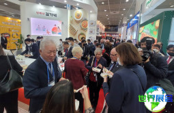 2026年韩国特许经营展览会展位布局与费用详情
