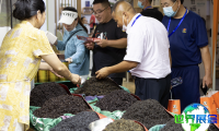 2026年临沂茶叶展览会(临沂茶博会)观展指南(日程地点+票价信息)