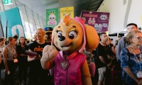 新手参加澳洲澳大利亚墨尔本玩具及品牌授权展览会(Australian Toy Hobby and Licensing Fair)展会:展位预约简化流程