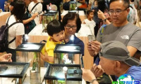 2026年香港宠物展将有哪些参展商?完整参展商名录一览