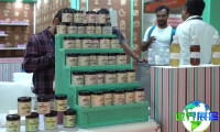 2027印度食品配料展(FI India)会刊怎么拿到?