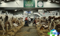 2027年法国畜牧展(SPACE)如何购票?购票渠道有哪些?