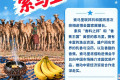 进博新面孔丨索马里首度现身进博会国家展