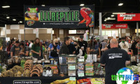 2027年美国全国爬宠展(National Reptile Breeders Expo)展位费用及报名方式
