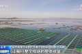 海水养殖产量突破2000万吨！深海优质鱼类如何走上大众餐桌